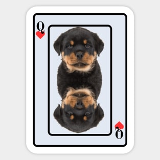 Rottweiler Puppy Sticker